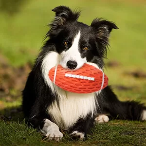 Durable Dog Chew Squeaky Rugby Shape Toy Ball