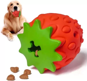 Strawberry Interactive Dog Treat Chew Toys